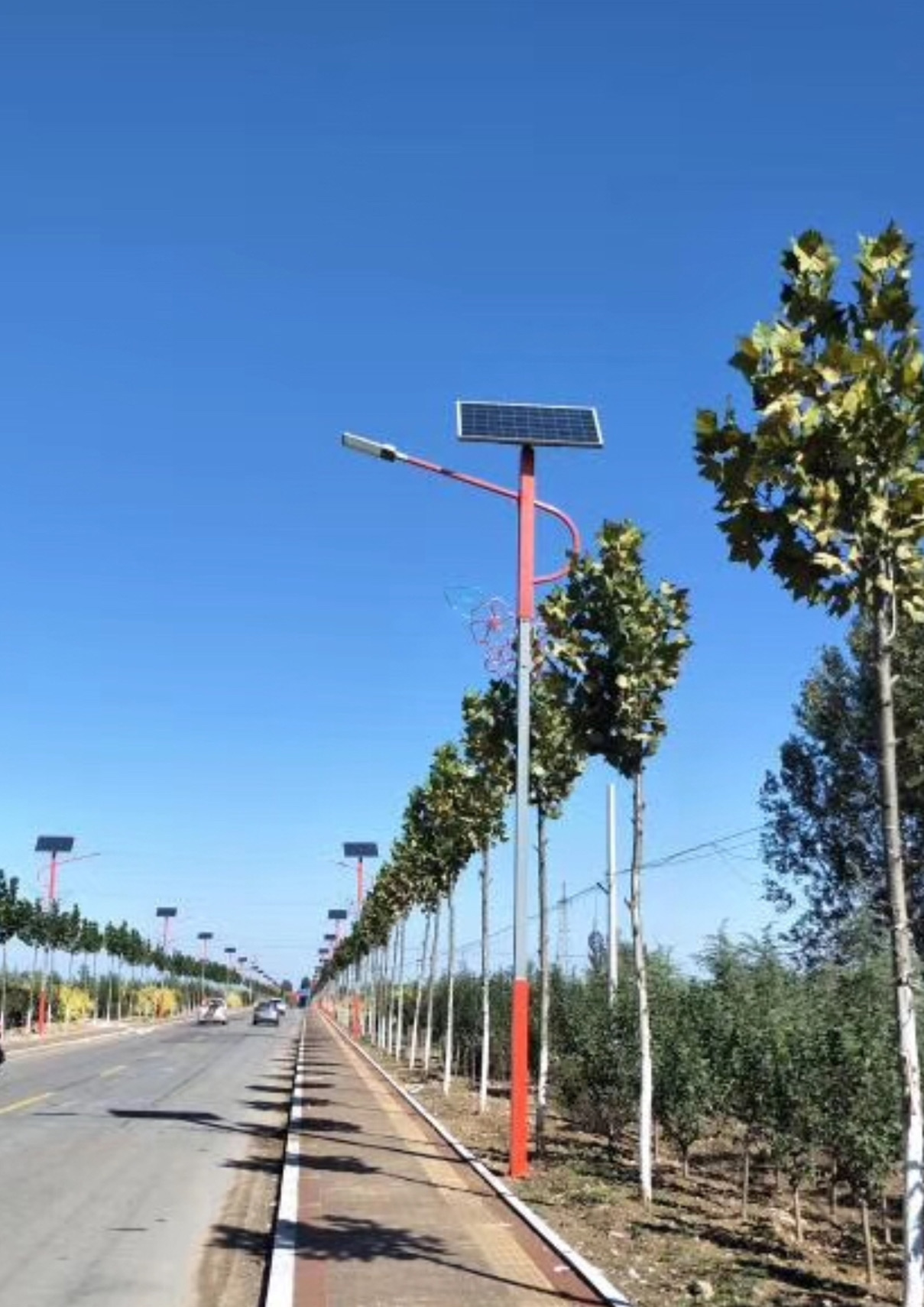 Shandong Caoxian Urban and rural Road Solar Street Energy St
